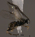 ( - Micro0274)  @12 [ ] Unspecified (default): All Rights Reserved  Unspecified Unspecified