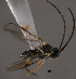  ( - Micro0300)  @12 [ ] Unspecified (default): All Rights Reserved  Unspecified Unspecified