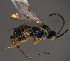  ( - Micro0318)  @12 [ ] Unspecified (default): All Rights Reserved  Unspecified Unspecified