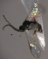  ( - Micro0332)  @12 [ ] Unspecified (default): All Rights Reserved  Unspecified Unspecified
