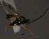  ( - Micro0366)  @12 [ ] Unspecified (default): All Rights Reserved  Unspecified Unspecified