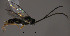  ( - Micro0368)  @12 [ ] Unspecified (default): All Rights Reserved  Unspecified Unspecified