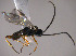  ( - Micro0387)  @12 [ ] Unspecified (default): All Rights Reserved  Unspecified Unspecified