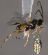  ( - Micro0390)  @13 [ ] Unspecified (default): All Rights Reserved  Unspecified Unspecified