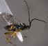  ( - Micro0426)  @12 [ ] Unspecified (default): All Rights Reserved  Unspecified Unspecified