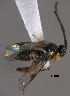  ( - Micro0444)  @13 [ ] Unspecified (default): All Rights Reserved  Unspecified Unspecified