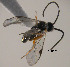  ( - Micro-0492)  @12 [ ] Unspecified (default): All Rights Reserved  Unspecified Unspecified