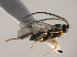  ( - Micro-0493)  @13 [ ] Unspecified (default): All Rights Reserved  Unspecified Unspecified