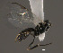  ( - Micro-0503)  @12 [ ] Unspecified (default): All Rights Reserved  Unspecified Unspecified