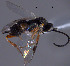  ( - Micro-0530)  @12 [ ] Unspecified (default): All Rights Reserved  Unspecified Unspecified