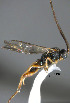  ( - Micro-0534)  @12 [ ] Unspecified (default): All Rights Reserved  Unspecified Unspecified