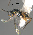  ( - Micro-0537)  @12 [ ] Unspecified (default): All Rights Reserved  Unspecified Unspecified