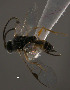  ( - Micro-0545)  @12 [ ] Unspecified (default): All Rights Reserved  Unspecified Unspecified