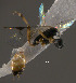  ( - Micro-0557)  @12 [ ] Unspecified (default): All Rights Reserved  Unspecified Unspecified