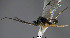  ( - Micro-0558)  @12 [ ] Unspecified (default): All Rights Reserved  Unspecified Unspecified