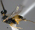  ( - Micro-0560)  @12 [ ] Unspecified (default): All Rights Reserved  Unspecified Unspecified
