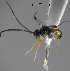  ( - Micro-0561)  @12 [ ] Unspecified (default): All Rights Reserved  Unspecified Unspecified