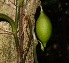  (Amphitecna - Ibarra6173)  @11 [ ] Copyright  Karen H. Esquivel 2010 Unspecified
