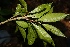 ( - Ibarra6173)  @11 [ ] Copyright  Karen H. Esquivel 2010 Unspecified