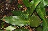  ( - Ibarra6223)  @11 [ ] Copyright  Karen H. Esquivel 2010 Unspecified