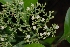  ( - Salazar8006)  @11 [ ] Copyright  Gerardo Salazar 2010 Unspecified
