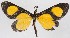  ( - CNIN-GEO-00012)  @11 [ ] No Rights Reserved (2022) Tanner A. Matson Colección Nacional de Insectos de México