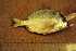  ( - MX1340)  @12 [ ] Unspecified (default): All Rights Reserved  Unspecified Unspecified