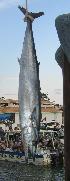  (Acanthocybium - MX935)  @14 [ ] Unspecified (default): All Rights Reserved  Unspecified Unspecified