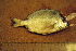  ( - MXIII-74)  @13 [ ] Unspecified (default): All Rights Reserved  Unspecified Unspecified