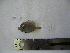  ( - MXIII-176)  @12 [ ] Unspecified (default): All Rights Reserved  Unspecified Unspecified