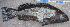  ( - MXIII399)  @12 [ ] Unspecified (default): All Rights Reserved  Manuel Elias Unspecified