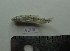  ( - MXIII630)  @12 [ ] Unspecified (default): All Rights Reserved  Unspecified Unspecified