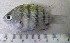  ( - MXIV47)  @12 [ ] Unspecified (default): All Rights Reserved  Unspecified Unspecified