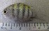  ( - MXIV48)  @13 [ ] Unspecified (default): All Rights Reserved  Unspecified Unspecified