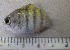  ( - MXIV49)  @12 [ ] Unspecified (default): All Rights Reserved  Unspecified Unspecified