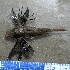  ( - MXIV0506)  @13 [ ] Unspecified (default): All Rights Reserved  Unspecified Unspecified