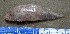  ( - MXIV0533)  @13 [ ] Unspecified (default): All Rights Reserved  Unspecified Unspecified