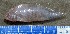  ( - MXIV0535)  @12 [ ] Unspecified (default): All Rights Reserved  Unspecified Unspecified