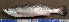  ( - MXIV0575)  @13 [ ] Unspecified (default): All Rights Reserved  Unspecified Unspecified