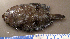  ( - MXIV0613)  @11 [ ] Unspecified (default): All Rights Reserved  Unspecified Unspecified