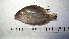  ( - MXIV19)  @11 [ ] Unspecified (default): All Rights Reserved  Unspecified Unspecified