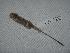  ( - CIBNOR 10184)  @13 [ ] Copyright  Unspecified Unspecified