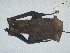  ( - CIBNOR 4118)  @13 [ ] Copyright  Unspecified Unspecified