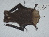  ( - CIBNOR 8632)  @12 [ ] Copyright  Unspecified Unspecified
