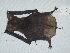  ( - CIBNOR 8633)  @12 [ ] Copyright  Unspecified Unspecified
