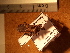  ( - JAGCH3)  @11 [ ] CreativeCommons - Attribution Non-Commercial Share-Alike (2015) Unspecified Instituto de Diagnóstico y Referencia Epidemiológica