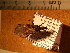  ( - JAGCH4)  @11 [ ] CreativeCommons - Attribution Non-Commercial Share-Alike (2015) Unspecified Instituto de Diagnóstico y Referencia Epidemiológica
