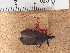  ( - JAGCH51)  @11 [ ] CreativeCommons - Attribution Non-Commercial Share-Alike (2015) Unspecified Instituto de Diagnóstico y Referencia Epidemiológica