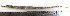  ( - MXV0284)  @13 [ ] Unspecified (default): All Rights Reserved  Unspecified Unspecified