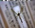  ( - FinMyc245)  @12 [ ] Unspecified (default): All Rights Reserved (2011) Unspecified NHMO